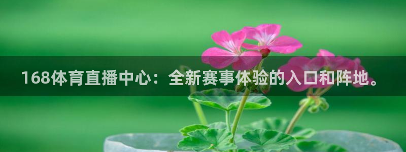 nba直播在线观看919：168体育直播中心：全新赛事体验的入口和阵地。