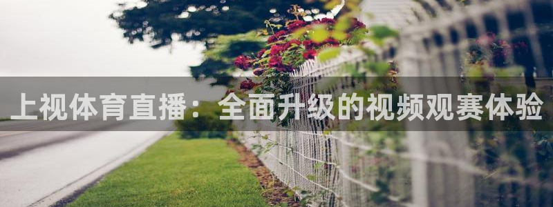 919足球直播间：上视体育直播：全面升级的视频观赛体验