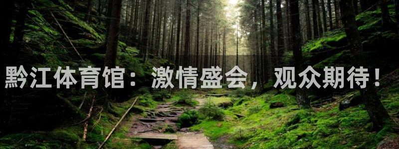 919直播在线看球：黔江体育馆：激情盛会，观众期待！