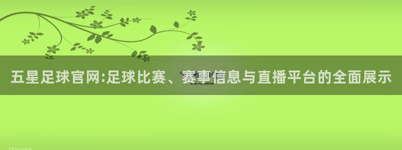 919体育直播：五星足球官网:足球比赛、赛事信息与直播平台的全面展示