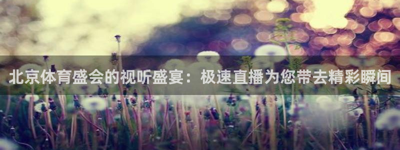 919体育直播：北京体育盛会的视听盛宴：极速直播为您带去精彩瞬间