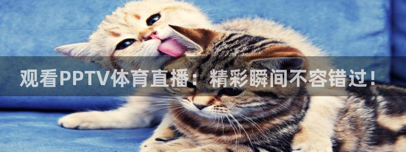 919直播看球：观看PPTV体育直播：精彩瞬间不容错过！