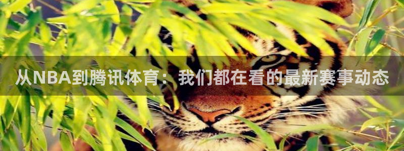 919体育直播app：从NBA到腾讯体育：我们都在看的最新赛事动态