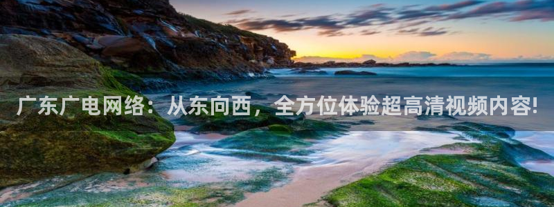 919直播间官网：广东广电网络：从东向西，全方位体验超高清视频内容!