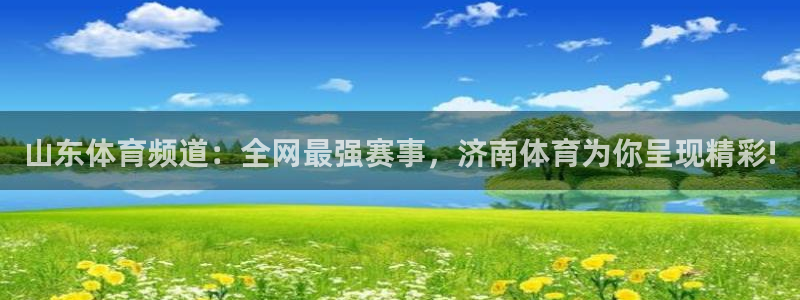 919直播：山东体育频道：全网最强赛事，济南体育为你呈现精彩!