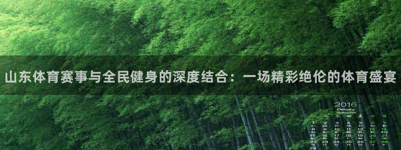 919直播：山东体育赛事与全民健身的深度结合：一场精彩绝伦的体育盛宴