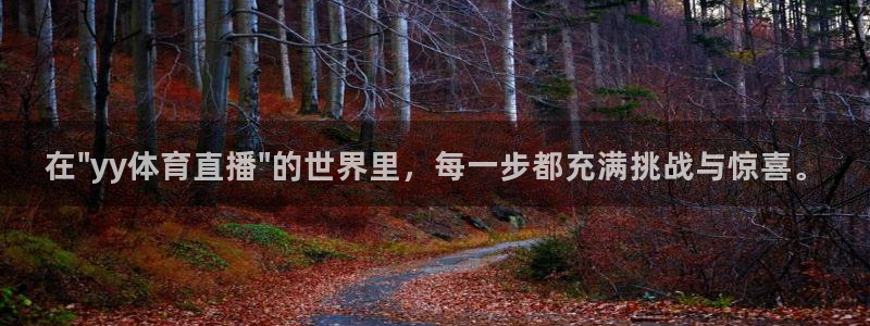 919直播足球：在\